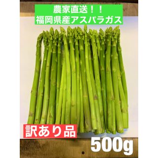 【そらママ様専用】福岡県産アスパラガス500g（訳あり品）(野菜)