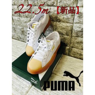 プーマ(PUMA)の新品　プーマ　スニーカー(スニーカー)