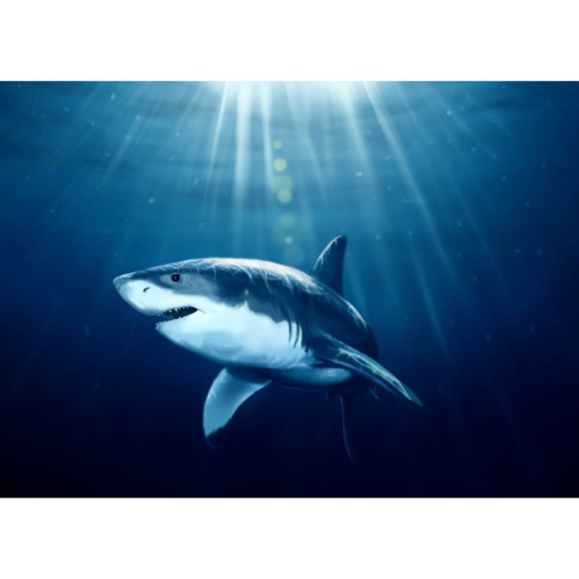 イルカ】 ✯ 極レア 高級 Baccarat サメ 魚 シャーク オブジェ 置物 