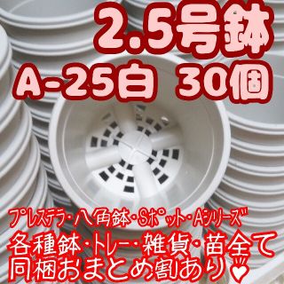 プラ鉢2.5号鉢【A-25】30個 スリット鉢 丸 プレステラ 多肉植物(プランター)