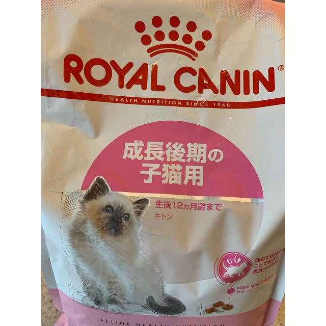 ROYAL CANIN(ロイヤルカナン)のロイヤルカナン　子猫用(成長後期) その他のペット用品(猫)の商品写真