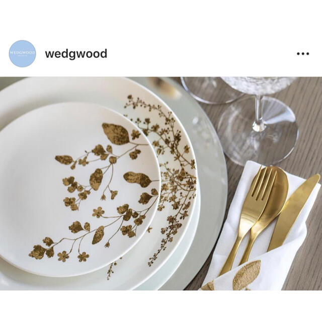 wedgwood ウェッジウッド ヴェラウォン ヴェラジャルダン