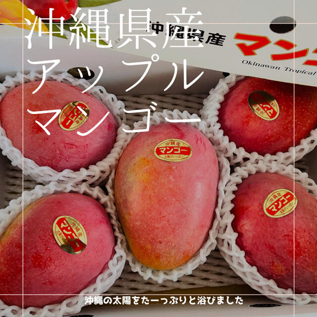 沖縄県産農家直送アップルマンゴー2kg　フルーツ
