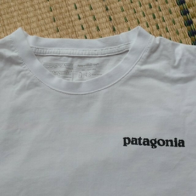 patagonia(パタゴニア)のpatagoniaTシャツ メンズのトップス(Tシャツ/カットソー(半袖/袖なし))の商品写真