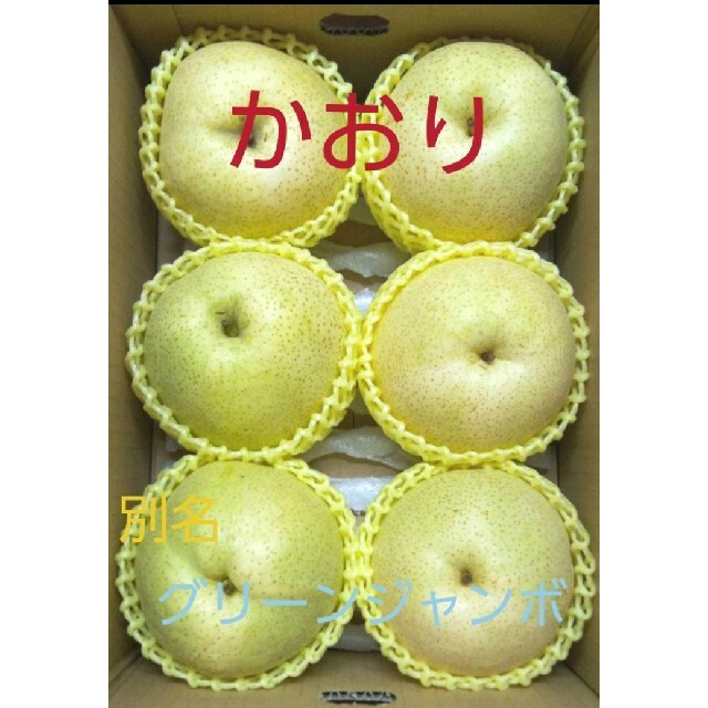 梨　かおり(グリーンジャンボ)3kg箱でお届け♪ 食品/飲料/酒の食品(フルーツ)の商品写真