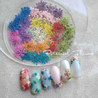 New♪ Botanicalドライフラワーset(ネイル用品)