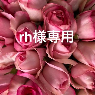 増量‼️バラ （切り花・生花）　ベラヴィータ（縁が濃いピンク）20㎝　70本(その他)