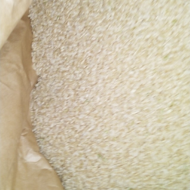 令和2年産栃木県特一等米コシヒカリけあ30キロ無農薬にてつくた、お米です！！