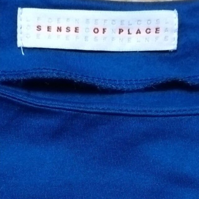 SENSE OF PLACE by URBAN RESEARCH(センスオブプレイスバイアーバンリサーチ)の👚シャツ レディースのトップス(シャツ/ブラウス(半袖/袖なし))の商品写真