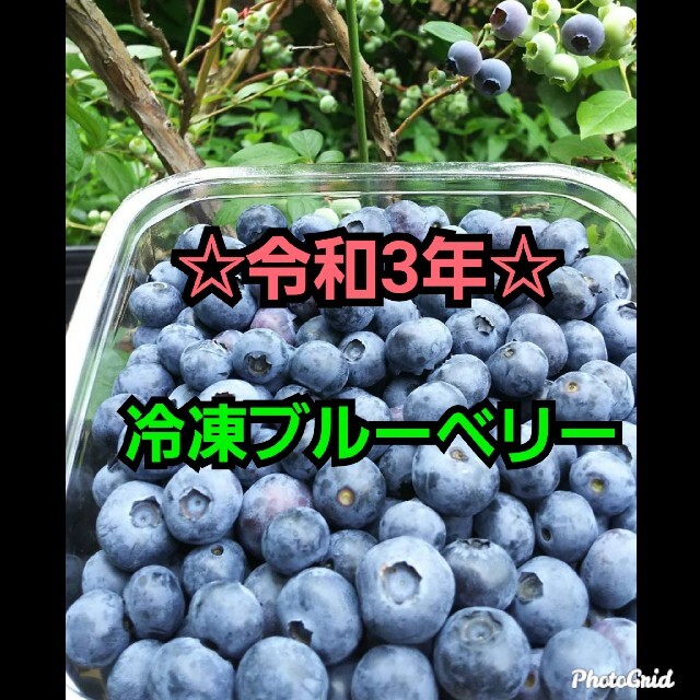 ⭐令和3年　無農薬冷凍ブルーベリー⭐2㌔ 食品/飲料/酒の食品(フルーツ)の商品写真