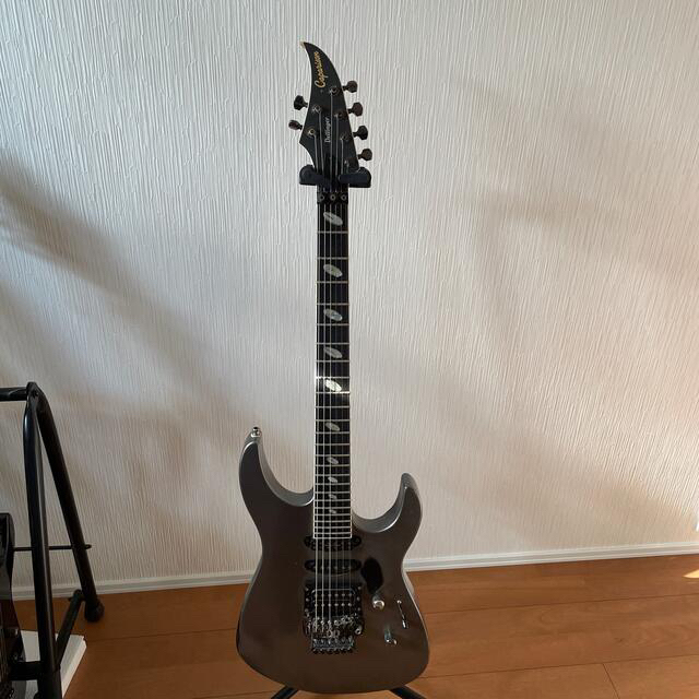 Caparison Dellinger MC titanium 状態悪