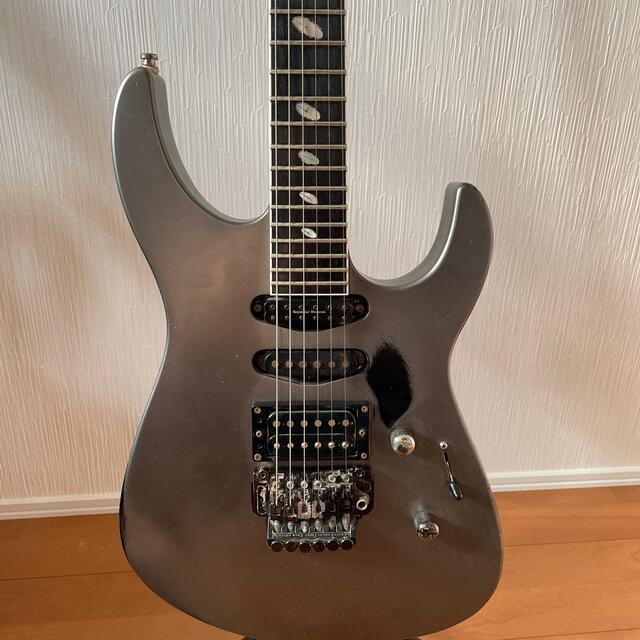 Caparison Dellinger MC titanium 状態悪 2