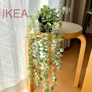 イケア(IKEA)の【新品】IKEA イケア フェイクグリーン（ユーカリ）フェイカ(その他)