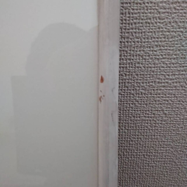 ☆最終お値下げ☆千住博 「きらめく朝」の通販 by 楓花's shop|ラクマ ☆最終お値下げ☆千住博 「きらめく朝」の通販 by 楓花's shop|ラクマ