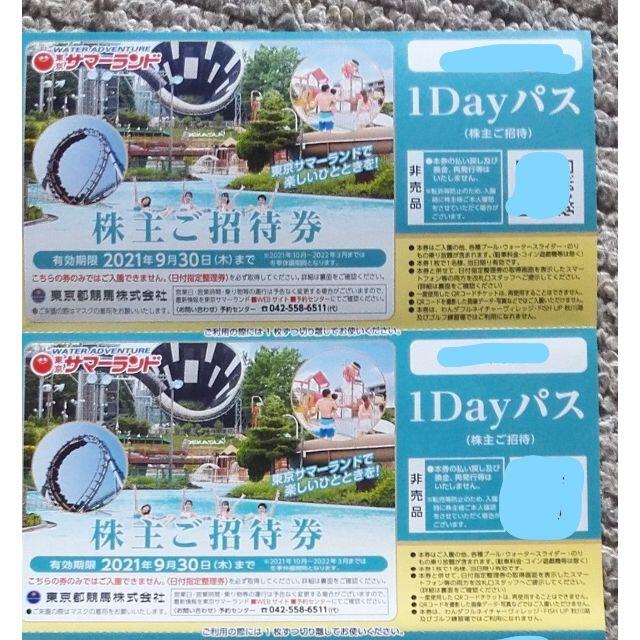 メール便に限り送料無料!! 東京サマーランド株主優待券am | www