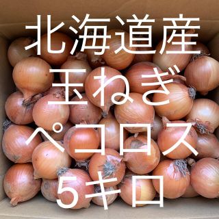 北海道産　玉ねぎ　ペコロス　５キロ(野菜)