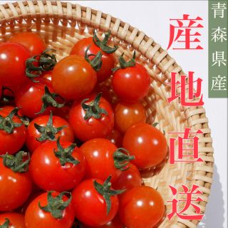 ミニトマト 1kg  [農学博士のDr.トマト] 採れたて☘️産地直送いたします(野菜)