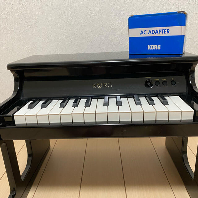 KORG(コルグ)のkorg タイニーピアノ 楽器の鍵盤楽器(電子ピアノ)の商品写真