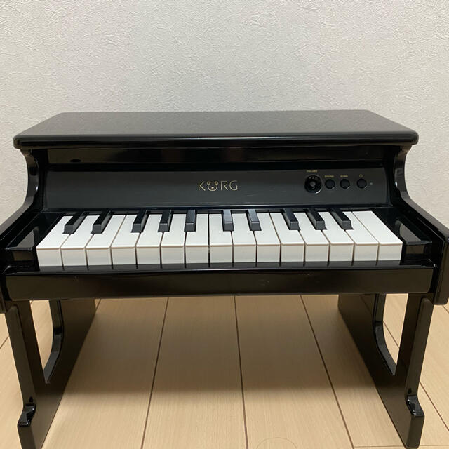 KORG(コルグ)のkorg タイニーピアノ 楽器の鍵盤楽器(電子ピアノ)の商品写真