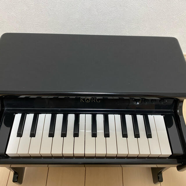 KORG(コルグ)のkorg タイニーピアノ 楽器の鍵盤楽器(電子ピアノ)の商品写真