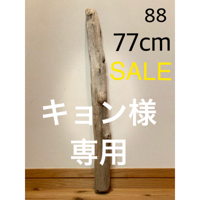 流木【88.315.368.374.378】 流木【88.315.368.374.378】
