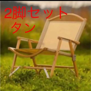 スノーピーク(Snow Peak)の【早い者勝ち！】カーミットチェア　karmit chair 2脚1セット(テーブル/チェア)