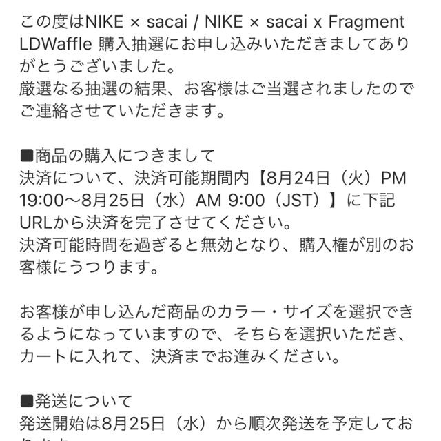 NIKE(ナイキ)のSR0810さん専用　sacai nike fragment 29cm  メンズの靴/シューズ(スニーカー)の商品写真
