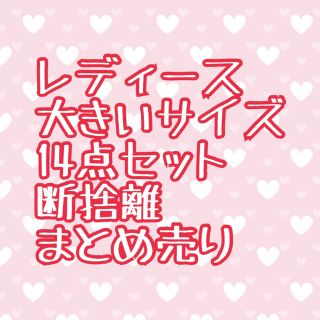 大きいサイズ 古着 まとめ売り 14点セット  福袋(セット/コーデ)