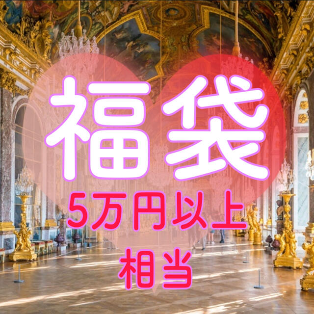 福袋 5万円以上相当 レディースのレディース その他(セット/コーデ)の商品写真