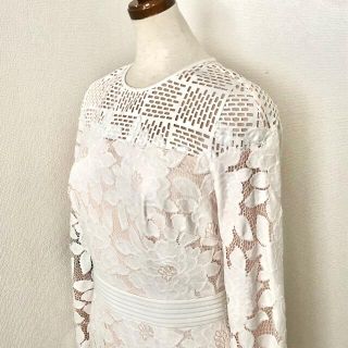 タダシショウジ(TADASHI SHOJI)のタダシ ショージ/カットワークレース・マーメイド・フレア・長袖・ワンピース(ひざ丈ワンピース)