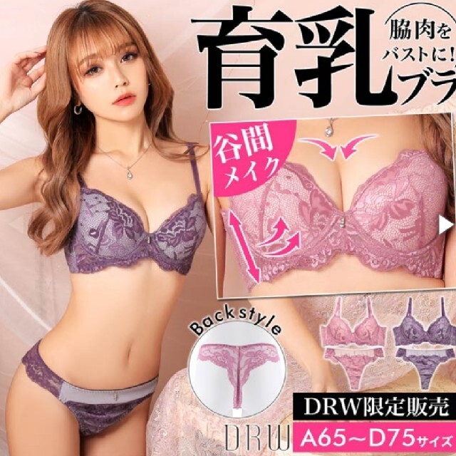 クラシカル総レース育乳脇高ブラジャー&バッグ透けＴバックショーツ レディースの下着/アンダーウェア(ブラ&ショーツセット)の商品写真