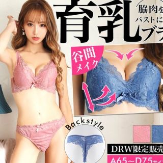 グロスレーシーフラワー育乳脇高ブラジャー&バック透けＴバックショーツ(ブラ&ショーツセット)