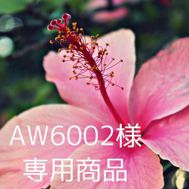 AW.6003さま☻