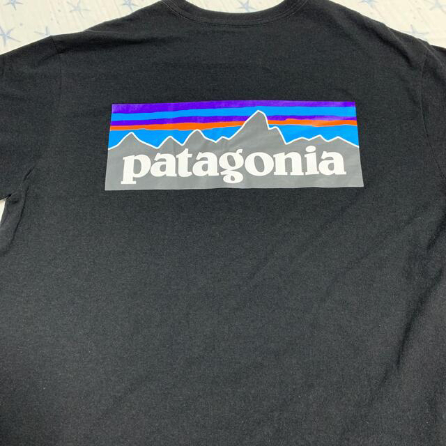 patagonia(パタゴニア)のpatagonia Tシャツ メンズのトップス(Tシャツ/カットソー(半袖/袖なし))の商品写真