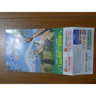 富士サファリパーク1名無料招待券(動物園)