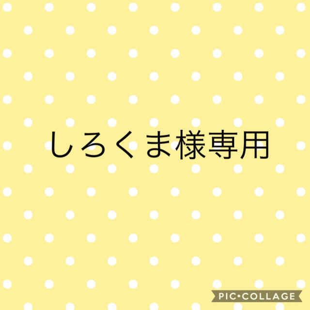 シロクマ様専用 bskampala.com