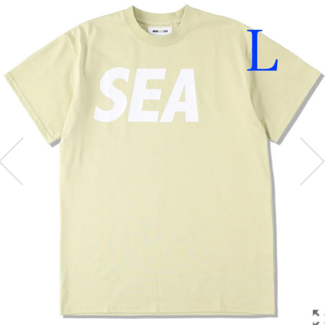 wind and sea ウィンダンシー Tシャツ L