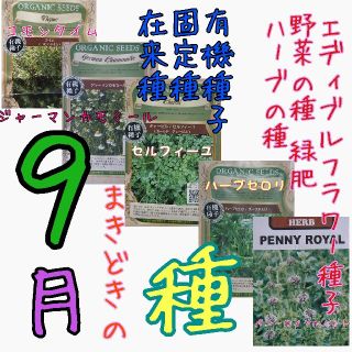 ここ様専用(野菜)