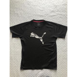 プーマ(PUMA)のPUMA ドライTシャツ(Tシャツ/カットソー(半袖/袖なし))