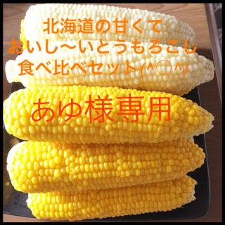 あゆ様専用　北海道の甘くておいし〜いとうもろこし食べ比べセット(^○^)(野菜)