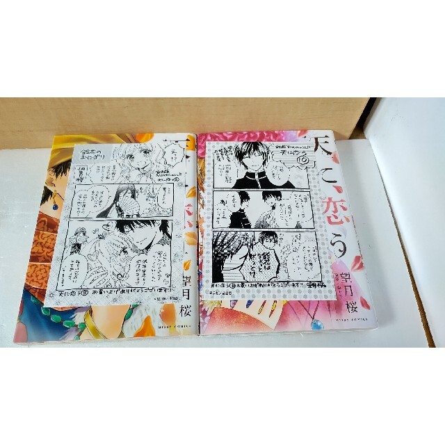 【専用品】天に恋う 全巻+外伝2冊コミックコミック