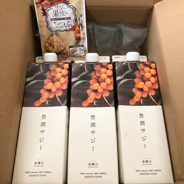 即出荷】 フィネス 豊潤サジー 1000ml ３本 | medicalzonemangohill.com.au