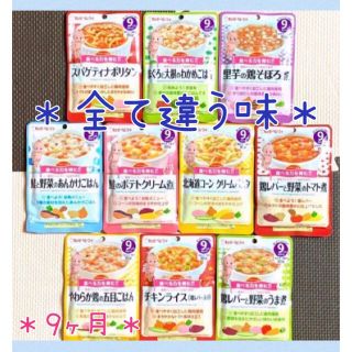 キユーピー(キユーピー)の111☆ 離乳食 9ヶ月 全て違う味 ベビーフード パウチ(その他)