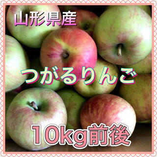 82901 山形県産 つがるりんご 10kg前後 訳あり リンゴ(フルーツ)