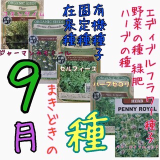 9月まきどきの種 固定種 在来種 有機種子 野菜の種 ハーブの種 緑肥 種子 種(野菜)