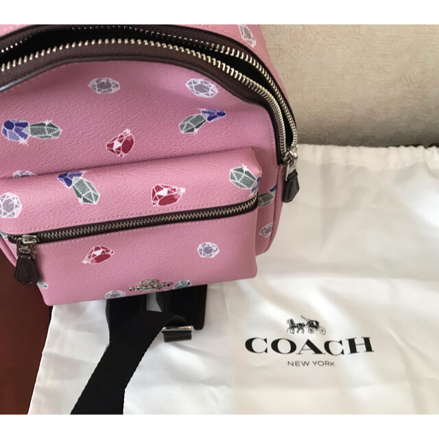 高質 ［専用］COACH リュック