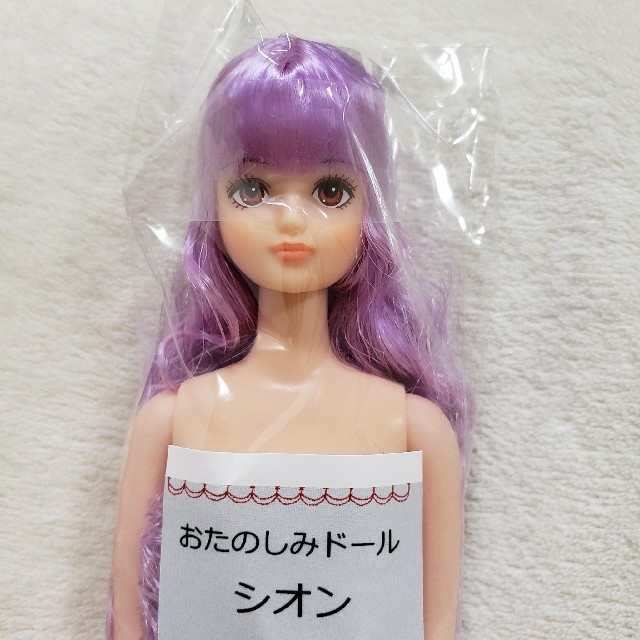 リカちゃんキャッスル おたのしみドール シオン 新品