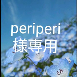 periperi様専用(その他)