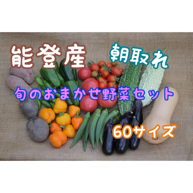 能登産　朝取れ　おまかせ野菜セット 食品/飲料/酒の食品(野菜)の商品写真