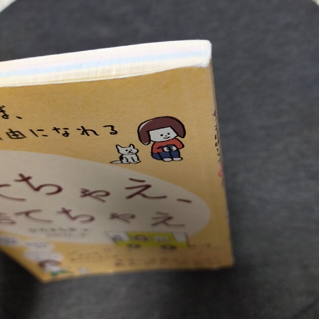 捨てちゃえ、捨てちゃえ いらないものを手放せば、もっと自由になれる 愛蔵版 エンタメ/ホビーの本(人文/社会)の商品写真